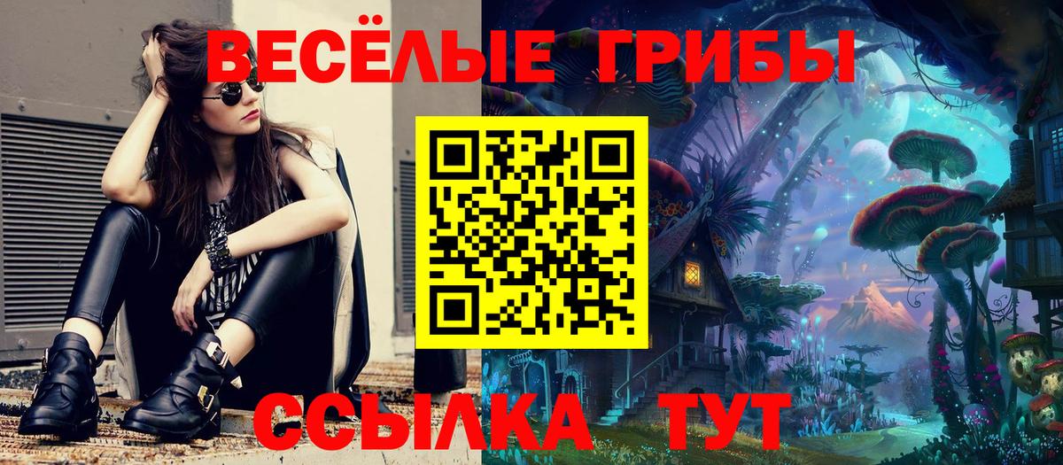 Галлюциногенные грибы ЛСД  Псилоцибиновые грибы MAGIC MUSHROOMS  Бердск  Вход с VPN 